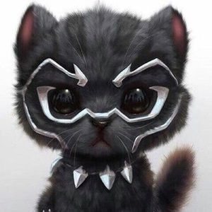 Meet your Posher, Genesis